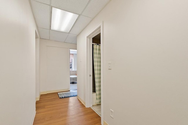 104 Pleasant St, Worcester, MA 01609 - hallway with a drop ceiling and light wood-type flooring