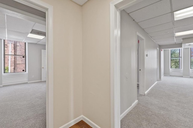104 Pleasant St, Worcester, MA 01609 - corridor featuring a drop ceiling and carpet floors