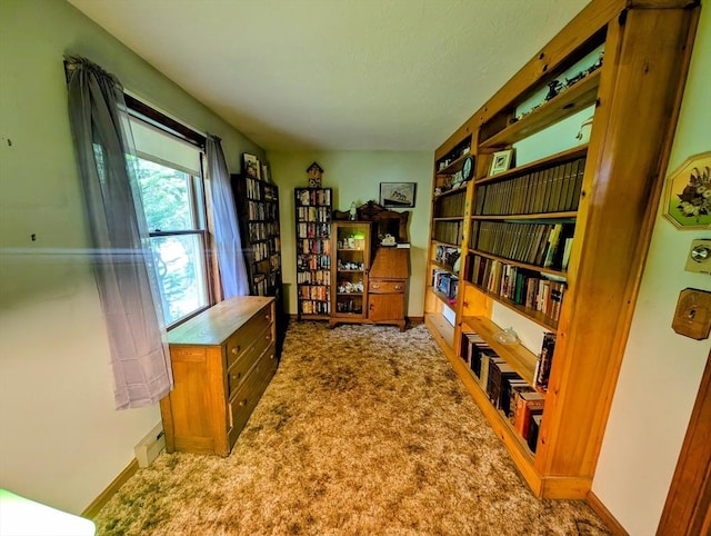 74 Ellis Rd, Southbridge, MA 01550 - office with carpet flooring, baseboards, and a textured ceiling