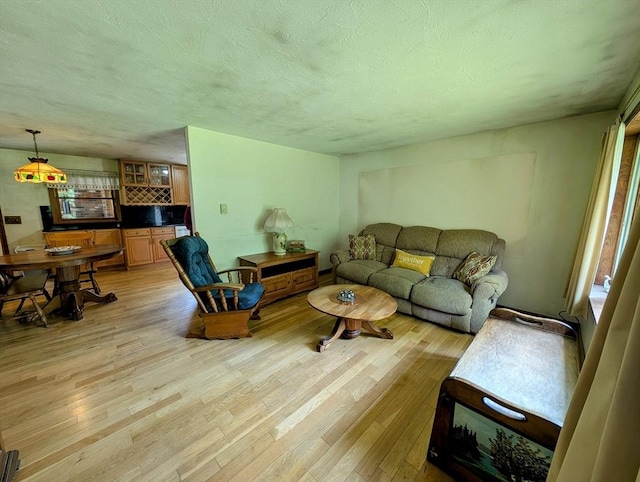 74 Ellis Rd, Southbridge, MA 01550 - living area with light wood-type flooring, a textured ceiling, and bar area