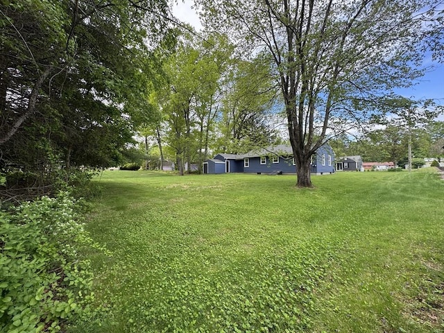 4 Norman Cir, Montague, MA 01376 - view of green lawn