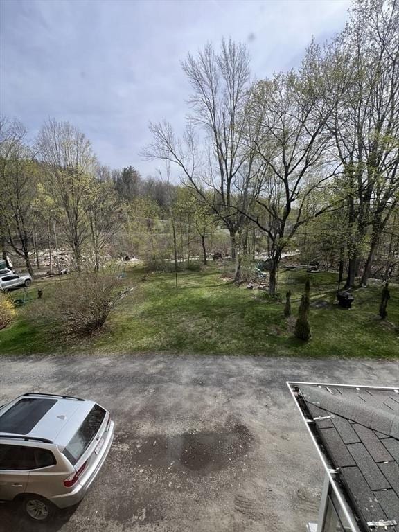 59 Carson Ave Unit 59, Clarksburg, MA 01247 - view of grassy yard