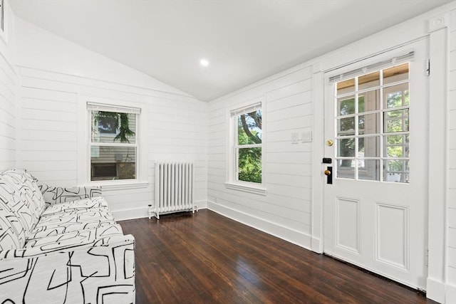 19 Arlington Rd, Dedham, MA 02026 - entryway featuring radiator, vaulted ceiling, dark wood-style floors, and recessed lighting
