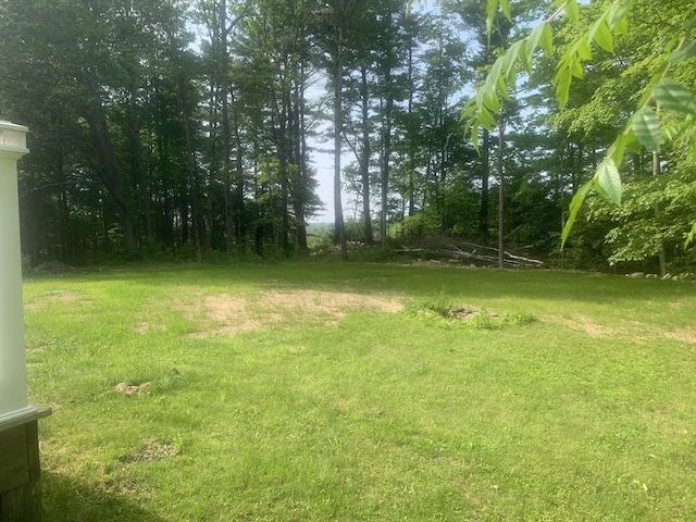 205 Gardner Rd, Hubbardston, MA 01452 - view of green lawn