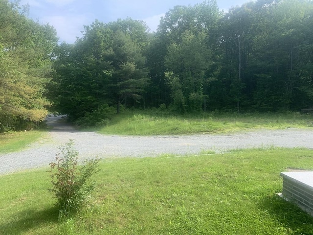 205 Gardner Rd, Hubbardston, MA 01452 - view of road