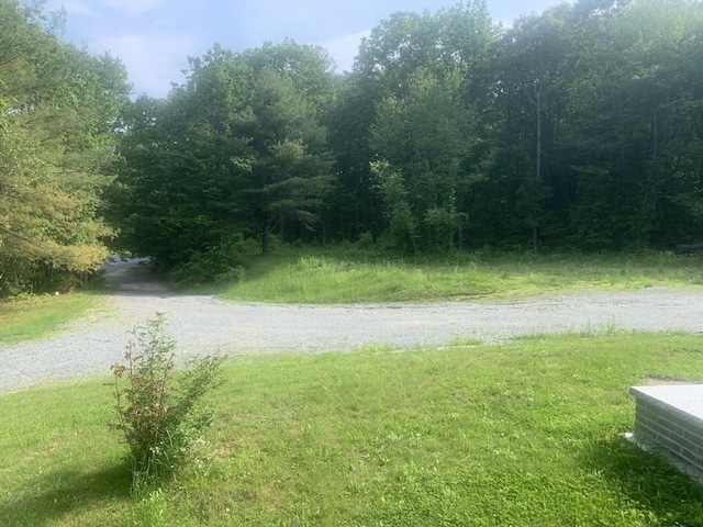 205 Gardner Rd, Hubbardston, MA 01452 - view of road