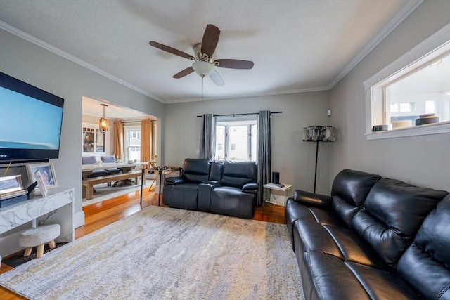 living room featuring wood-type flooring, ornamental molding, and ceiling fan