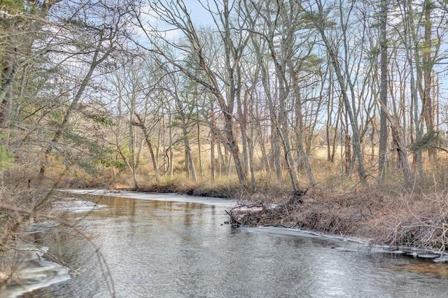 view of water feature featuring a wooded view