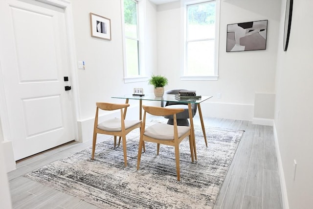 dining room featuring light hardwood / wood-style floors and plenty of natural light