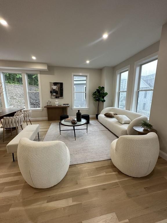 living room with light hardwood / wood-style floors