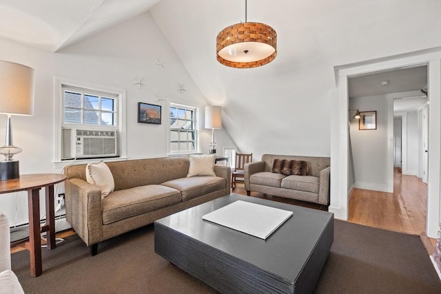 living room with wood-type flooring, high vaulted ceiling, and a baseboard radiator