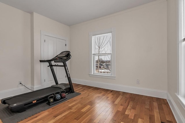 exercise area featuring baseboards and hardwood / wood-style floors