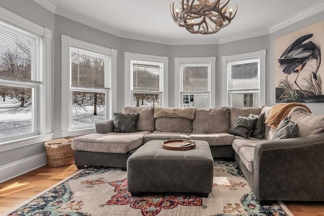 living room with crown molding, a notable chandelier, wood finished floors, and a healthy amount of sunlight