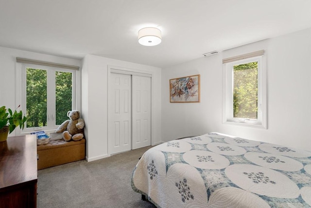 198 Edge Hill Rd, Sharon, MA 02067 - bedroom featuring carpet and a closet