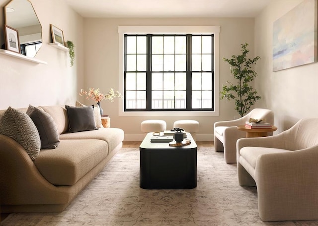 16 Plymouth St Unit 16, Arlington, MA 02476 - living room with baseboards and wood finished floors