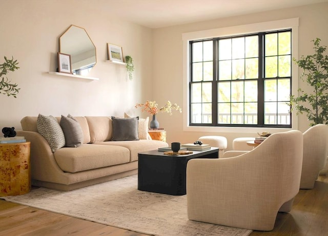 16 Plymouth St Unit 16, Arlington, MA 02476 - living room with wood finished floors and healthy amount of natural light