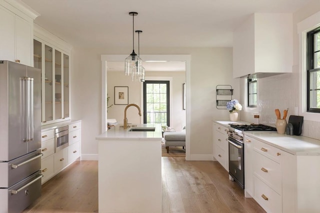 16 Plymouth St Unit 16, Arlington, MA 02476 - kitchen with premium appliances, light wood finished floors, glass insert cabinets, white cabinetry, and light countertops