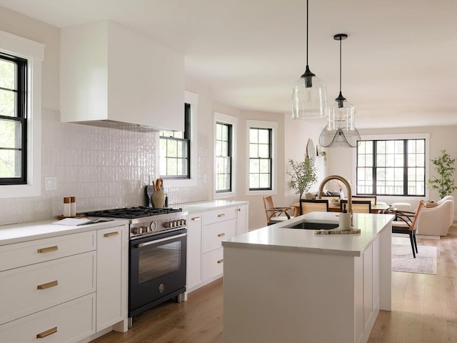 16 Plymouth St Unit 16, Arlington, MA 02476 - kitchen featuring stainless steel range, healthy amount of natural light, light wood-type flooring, and decorative backsplash