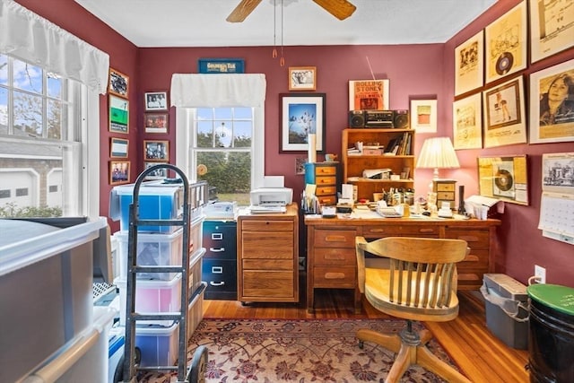 office area featuring wood finished floors, ceiling fan, and plenty of natural light