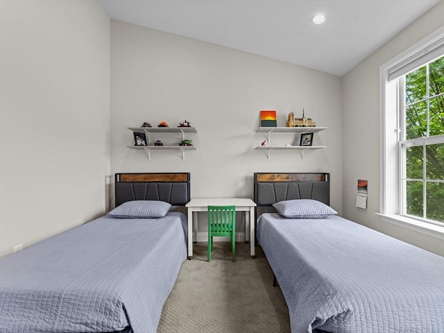 79 Townsend Blvd Unit 79, Westborough, MA 01581 - carpeted bedroom with recessed lighting