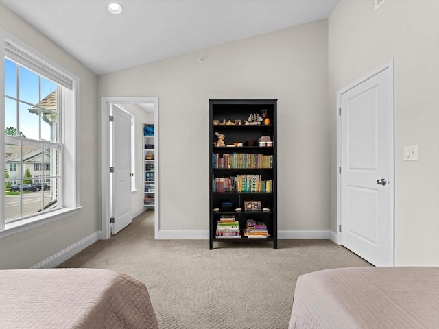79 Townsend Blvd Unit 79, Westborough, MA 01581 - bedroom with lofted ceiling, carpet floors, a walk in closet, and recessed lighting