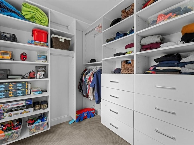 79 Townsend Blvd Unit 79, Westborough, MA 01581 - walk in closet with carpet flooring