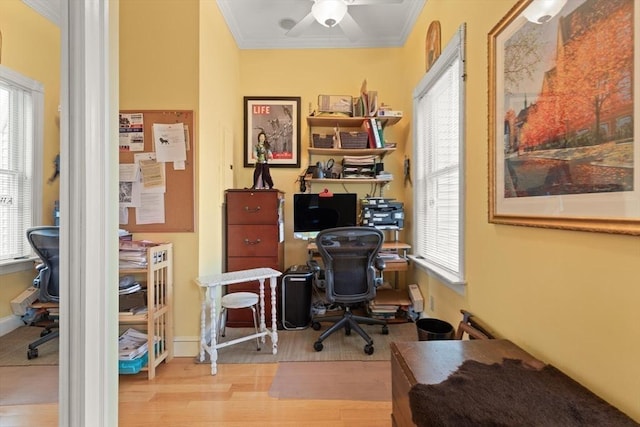 50 Telpgraph St, Boston, MA 02127 - home office with crown molding, wood finished floors, plenty of natural light, and a ceiling fan