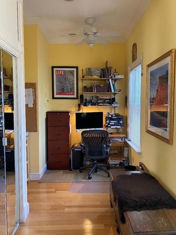 50 Telpgraph St, Boston, MA 02127 - office space with light wood finished floors, ceiling fan, and crown molding
