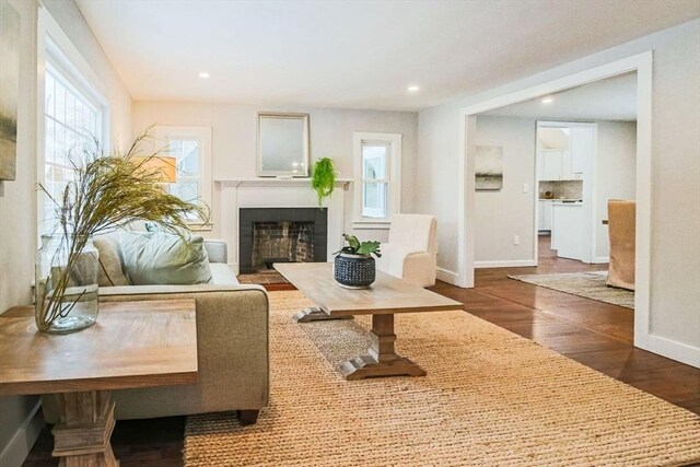 living room with dark wood-type flooring