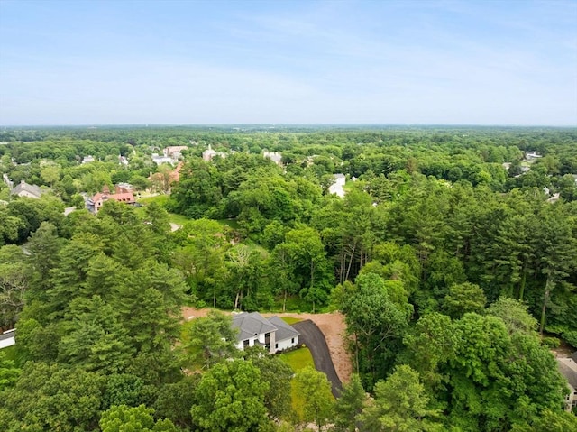 11 Olde Stable Ln, Easton, MA 02356 - drone / aerial view of a forest