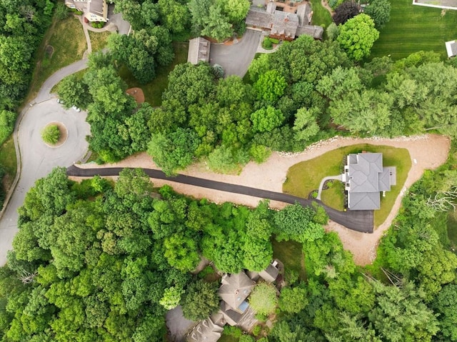 11 Olde Stable Ln, Easton, MA 02356 - aerial view of property and surrounding area with a tree filled landscape