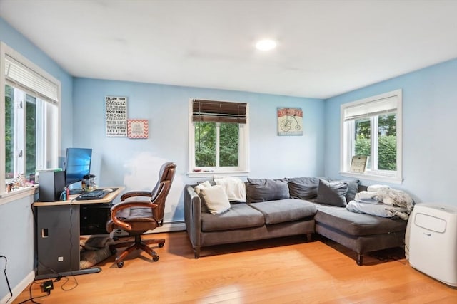 living room with wood-type flooring and a wealth of natural light