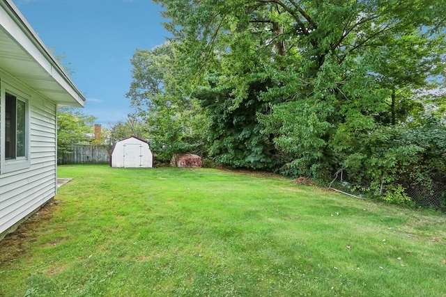 view of yard with a storage unit