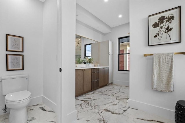 bathroom with toilet and vanity