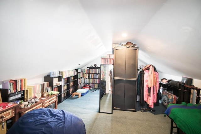 33 Cady St, Lowell, MA 01852 - bonus room with carpet floors and lofted ceiling