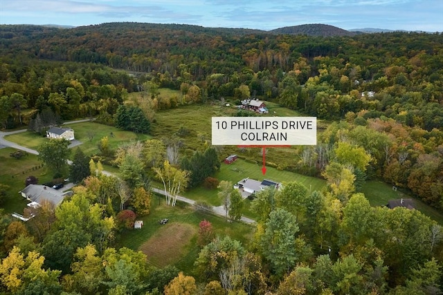 10 Phillips Dr, Colrain, MA 01340 - aerial view of property's location with a forest and a mountainous background