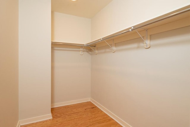 spacious closet with light wood-type flooring