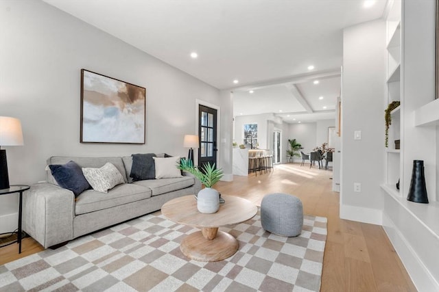 living room with built in shelves and light hardwood / wood-style floors