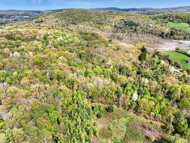LOT6 Reed St, Warren, MA 01083