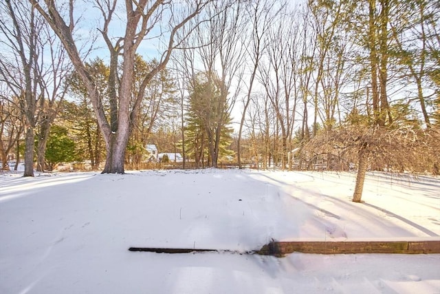 view of yard covered in snow