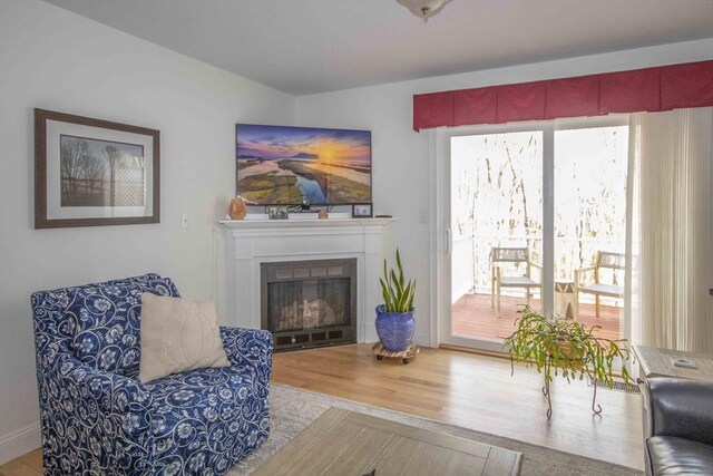 living area with a fireplace and wood finished floors