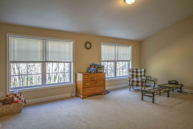 sitting room featuring carpet and baseboards