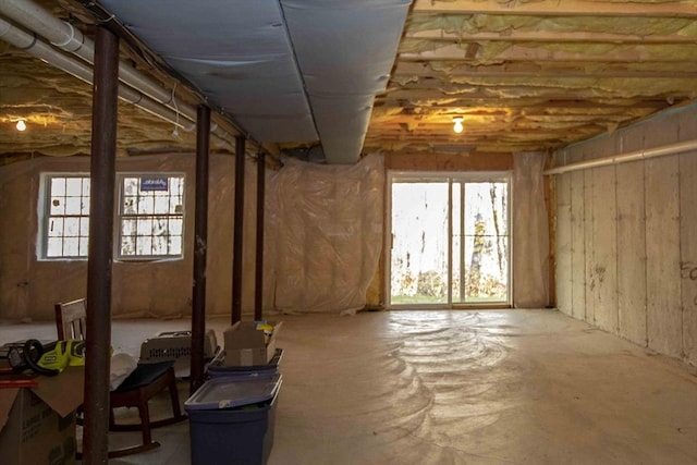 basement featuring plenty of natural light