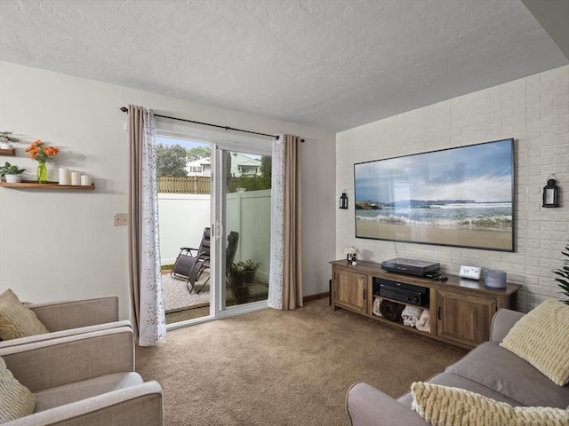 49 Meadow Pond Dr Unit I, Leominster, MA 01453 - living room featuring carpet flooring and a textured ceiling