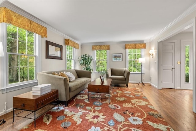 27 Bowker Dr, Sudbury, MA 01776 - living area with wood finished floors, ornamental molding, and baseboards