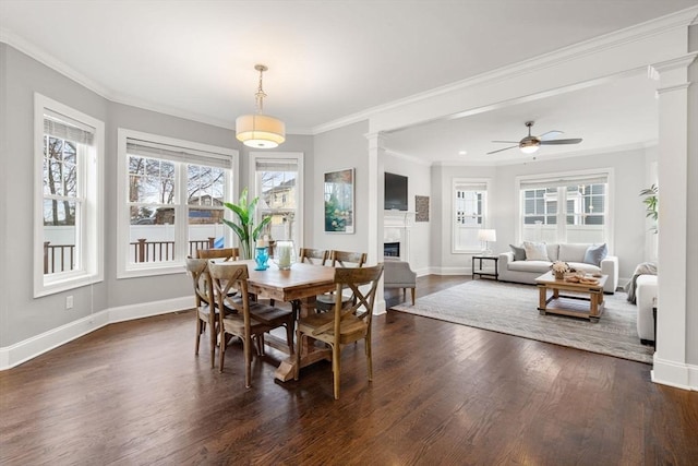 dining area featuring ceiling fan, a wealth of natural light, dark hardwood / wood-style floors, and ornamental molding