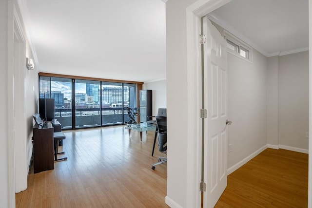 hallway with crown molding, expansive windows, and light wood-type flooring