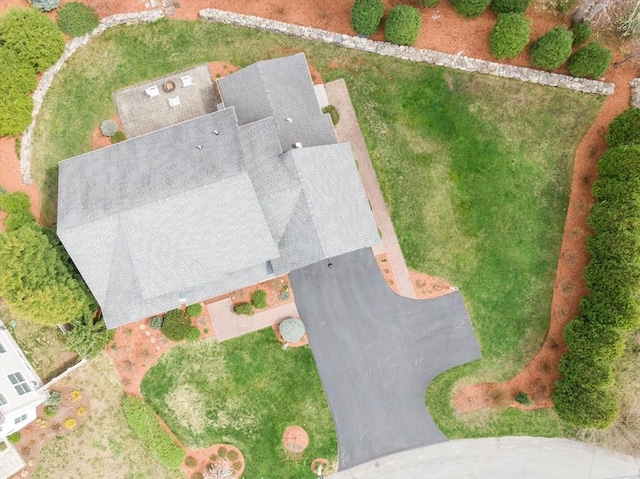 bird's eye view