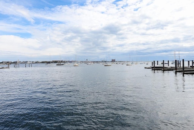 85 E India Row Unit 36D, Boston, MA 02110 - dock with a water view
