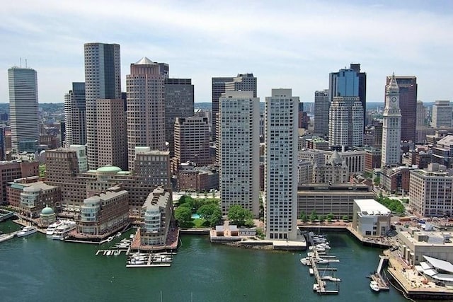 85 E India Row Unit 36D, Boston, MA 02110 - skyline view featuring a nearby body of water and numerous boat docks